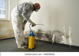  Woodville, OH Mold Removal Pros